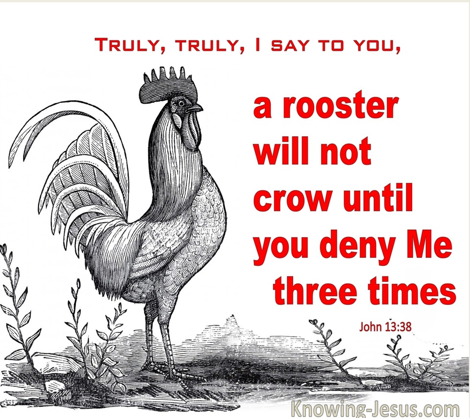 John 13:38 A Rooster Will Not Crow Until You Deny Me Three Times (red)